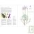 Kit livre Aromatherapia +3 huiles essentielles bio � petits prix - Un superbe cadeau !