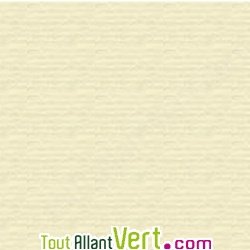 Papier � lettre recycl� aspect conservation 100 feuilles A4 100g
