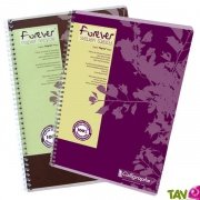 Cahier recycl Spirale A4 petits carreaux 96p 70g Forever
