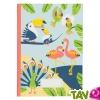 TOUT ALLANT VERT: Cahier lign Recycl, Oiseaux 15x21cm