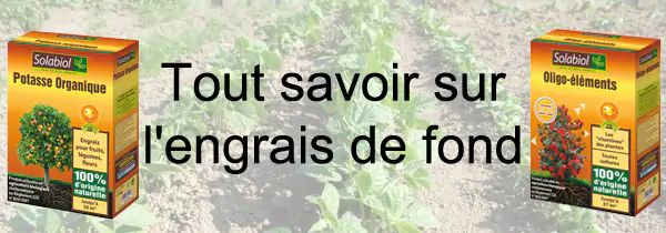 Comment Enrichir Le Sol De Son Jardin Bio Les Engrais De Fond Tout