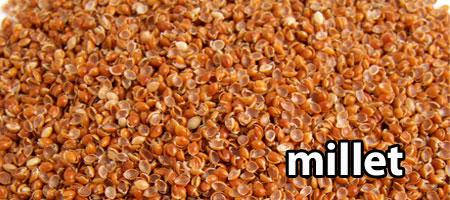 Balle de millet issu de la céréale du même nom.
