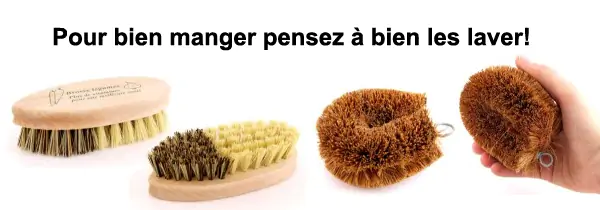 Les brosses à légumes pour laver fruits et légumes - Tout allant vert, le  guide des produits écolos et bios