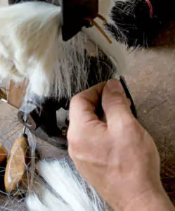 Montage des poils de chèvre sur une brosse brosse