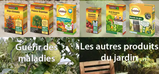 Quel germoir choisir pour ses graines à germer ? - Tout allant vert, le  guide des produits écolos et bios