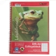 Cahier  spirale petits carreaux A4 recycl Greenpeace crocodile