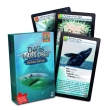Jeu de cartes defis marins