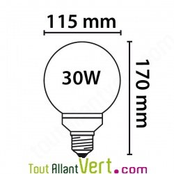 Ampoule Globe Lumi�re du jour E27 30W eq.150W 5000�K