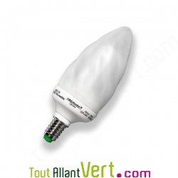 Ampoule flamme Plein Spectre 9W eq. 45W embase E14 6500K