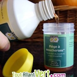 Pi�ge � Moucherons alimentaires, 2 pi�ges+app�t liquide 250ml, solution 100% naturelle