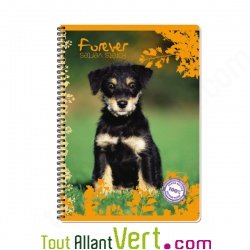 Cahier recycl� spirale A4 Grands carreaux 100p 70g animaux