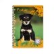 Cahier recycl� spirale A4 Grands carreaux 100p 70g animaux