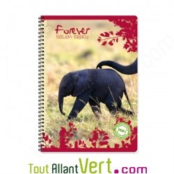 Cahier recycl� spirale A4 Grands carreaux 100p 70g animaux