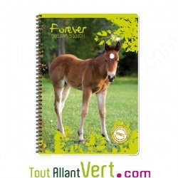 Cahier recycl� spirale A4 Grands carreaux 100p 70g animaux
