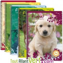 Cahier recycl� spirale A4 Grands carreaux 100p 70g animaux