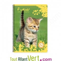 Cahier recycl� spirale A4 Grands carreaux 100p 70g animaux