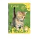 Cahier recycl� spirale A4 Grands carreaux 100p 70g animaux