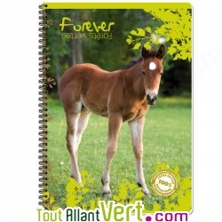 Cahier recycl� � spirale A4 70g 100 pages Petits carreaux Poulain