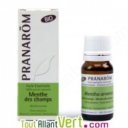 Pranarôm Huile Essentielle Menthe Des Champs (Mentha Arvensis) Bio 10 Ml