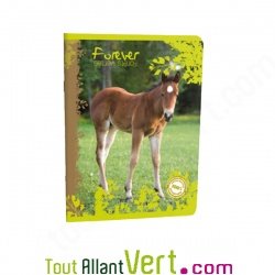 Cahier recycl� A4 Petits Carreaux 96p 70g Forever Animaux