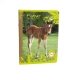 Cahier recycl� A4 Petits Carreaux 96p 70g Forever Animaux