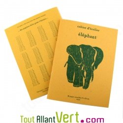 Cahier colier 17x22cm, 96p Grand carreaux Elphant
