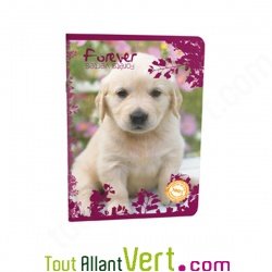 Cahier recycl� Grands Carreaux 96p A4 ou 17x22 70g  Forever