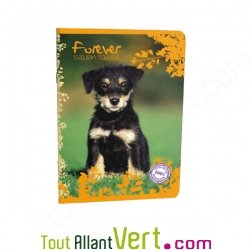Cahier recycl� Grands Carreaux 96p A4 ou 17x22 70g  Forever