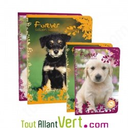 Cahier recycl� Grands Carreaux 96p A4 ou 17x22 70g  Forever