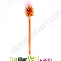 Goupillon en bois de htre et crin de cheval, 35 cm