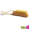 Brosse  ongle, fibres vgtales et bois de htre, 10 cm
