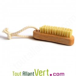 Brosse  ongle, fibres vgtales et bois de htre, 10 cm