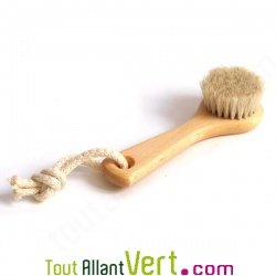 Brosse visage, bois de h�tre et crin de cheval, 13 cm