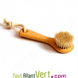 Brosse visage, bois de h�tre et crin de cheval, 13 cm