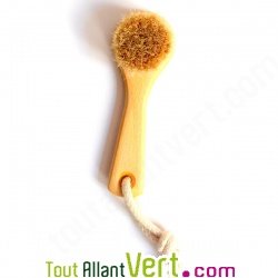 Brosse visage, bois de h�tre et crin de cheval, 13 cm