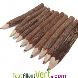 Crayon couleur en bois avec �corce, lot 10