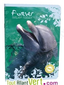 Cahier recycl� Forever 70g 96p Grands Carreaux A4 Dauphin