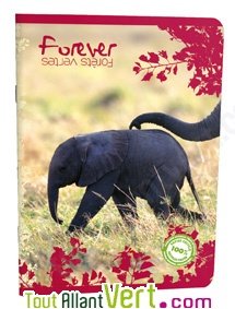 Cahier recycl� Forever 70g 96p Grand Carreaux 17x22cm Elephanteau