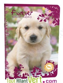 Cahier recycl� Forever 70g 96p Grands Carreaux A4 Chiot Blanc
