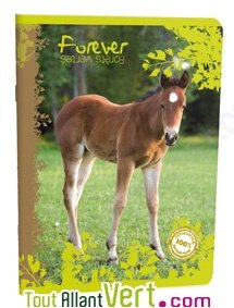 Cahier recycl� Forever 70g 96p Petits Carreaux A4 Poulain