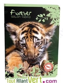 Cahier recycl� Forever 70g 96p Petits Carreaux A4 Tigre