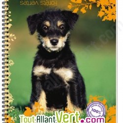 Cahier recycl� � spirale A4 70g 100 pages Petits carreaux Chiot noir