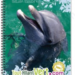 Cahier recycl� � spirale A4 70g 100 pages Petits carreaux Dauphin