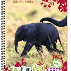 Cahier recycl� � spirale A4 70g 100 pages Petits carreaux El�phant