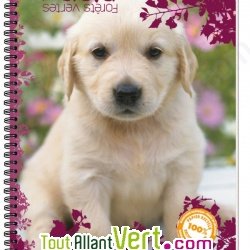 Cahier recycl� � spirale A4 70g 100 pages Petits carreaux Chiot blanc