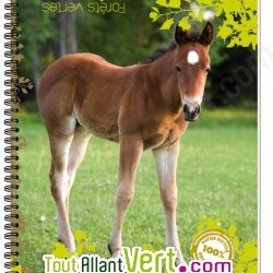 Cahier recycl� � spirale A4 70g 100 pages Grands carreaux Poulain