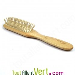 Brosse cheveux en bois, picots en bois