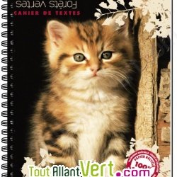 Carnet recycl� � spirale 11x17cm 70g 100 pages Petits carreaux Chat assis