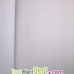 Cahier recycl� jaune Grands carreaux 48p A4 carte de France
