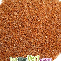 Oreiller en balles de millet bio et coton biologique, Mille Oreillers